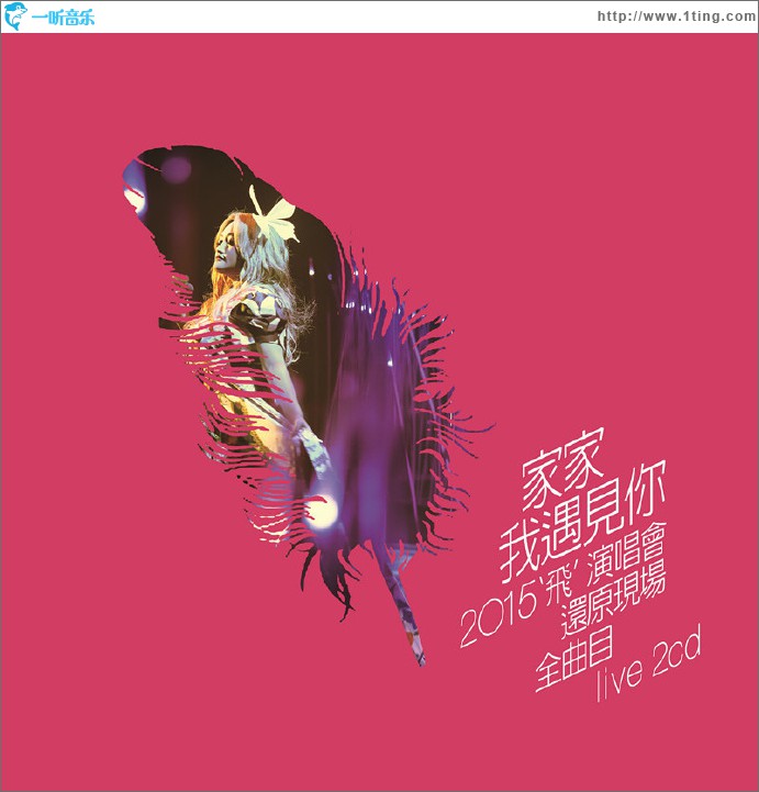 我遇見你 2015“飛”演唱會還原現場全曲目LIVE