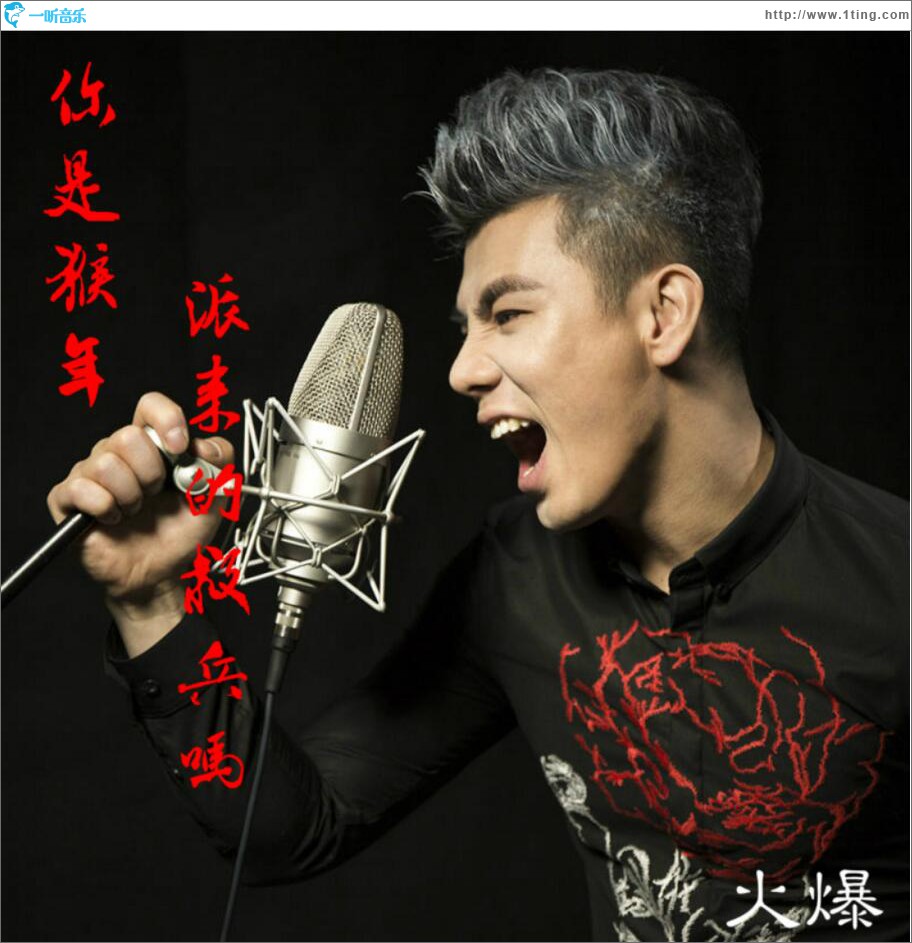 你是猴年派來的救兵嗎 (單曲)