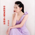 你的轉身留下我的淚 (單曲)詳情