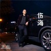 王磊 傷海 試聽