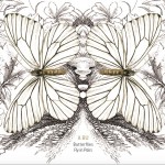 Butterflies Fly in Pairs 雙飛蝴蝶試聽