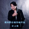 胡云鵬 想你的日夜你卻不在 試聽