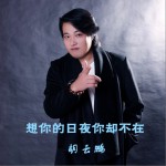 想你的日夜你卻不在 (單曲)詳情