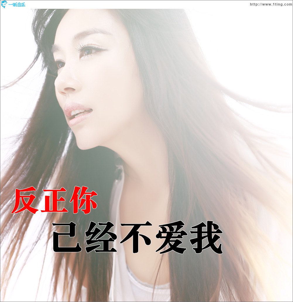 反正你已經不愛我 (單曲)
