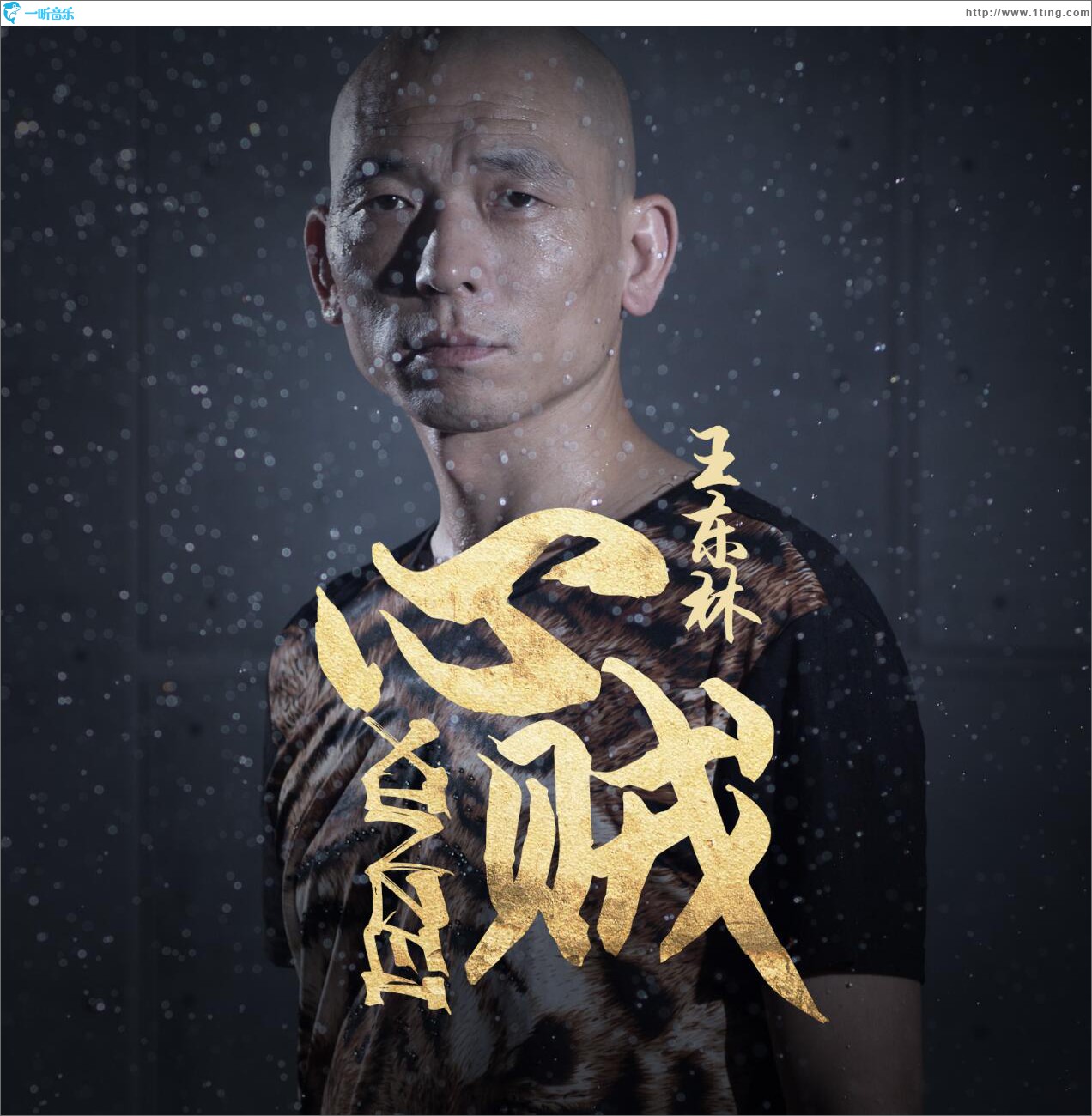心賊 (單曲)