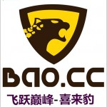 飛躍巔峰 (單曲)詳情