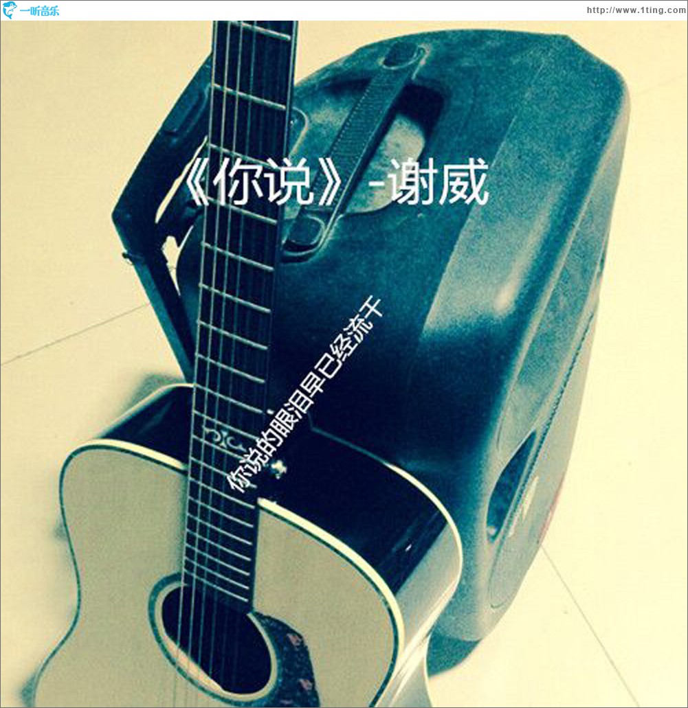 你說 (單曲)