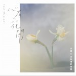 心有花開詳情