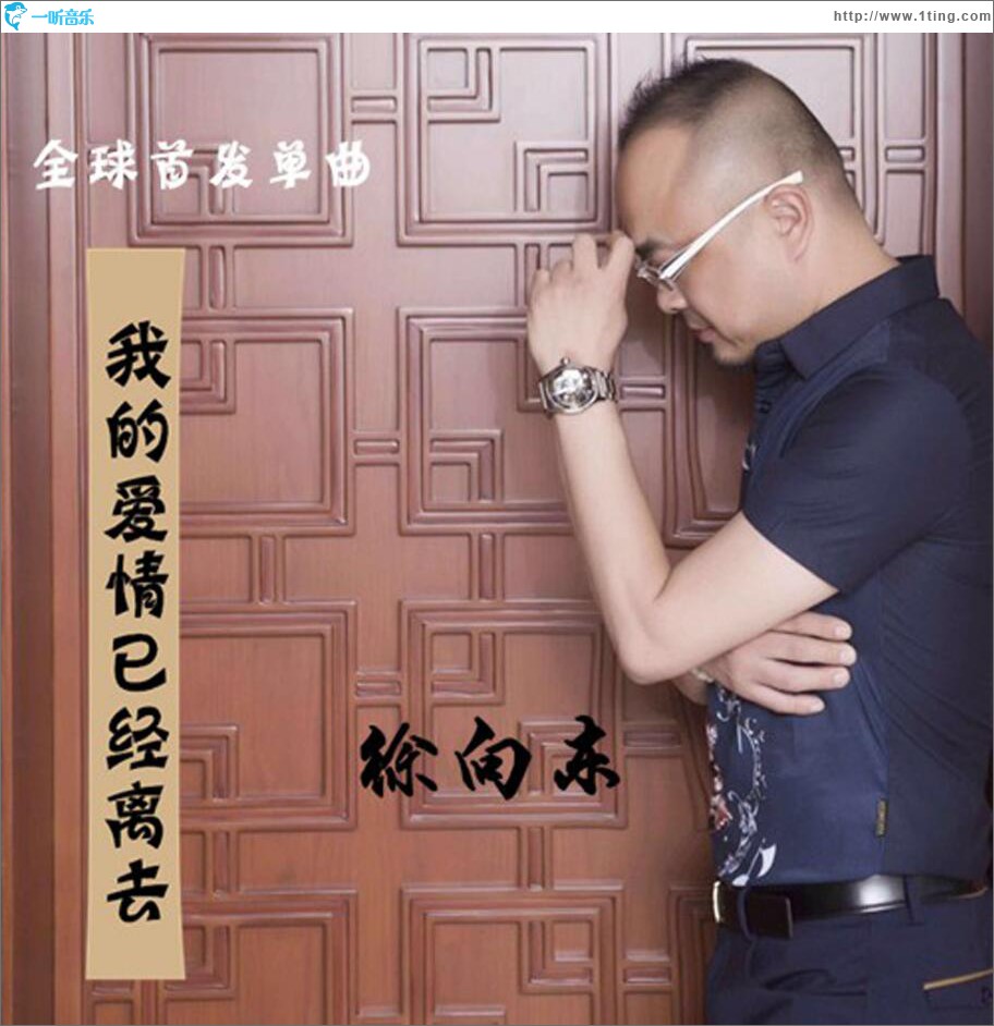 我的愛情已經離去 (單曲)