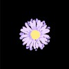 gnash daydreams - gnash&Julius 試聽