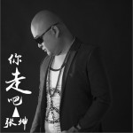 你走吧 (單曲)詳情