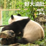 好大油肚 (單曲)詳情