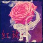 紅玫 (單曲)詳情