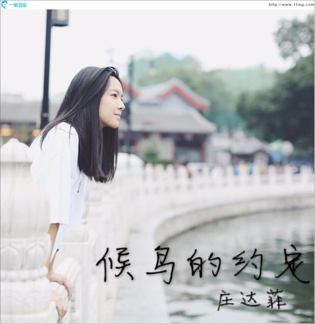 候鳥的約定 (單曲)