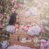 陶心瑤 甜蜜的花 試聽