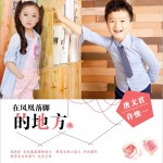 在鳳凰落腳的地方 (單曲)詳情