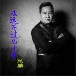 永遠不過幾十年 (單曲)詳情