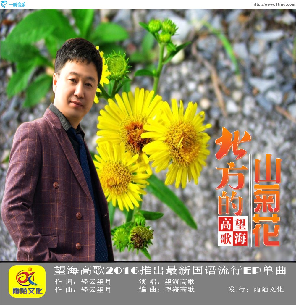 北方的山菊花 (單曲)