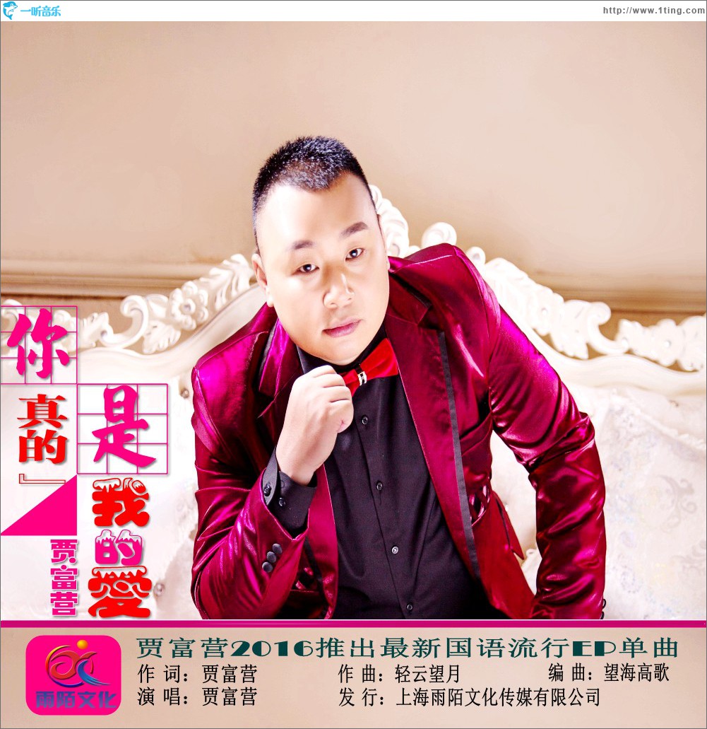 你真的是我的愛 (單曲)