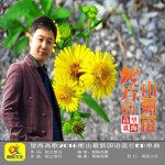 北方的山菊花 (單曲)詳情