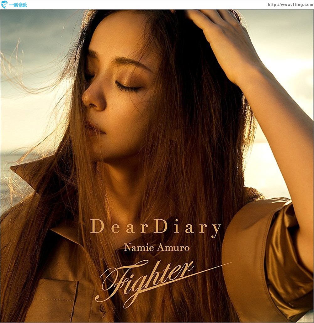 Dear Diary / Fighter