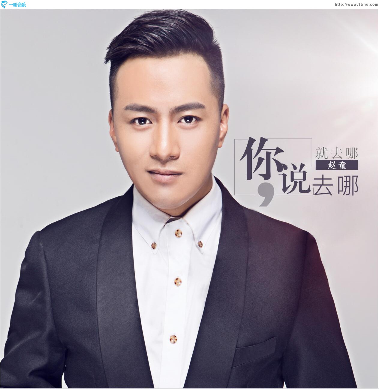 你說去哪就去哪 (單曲)