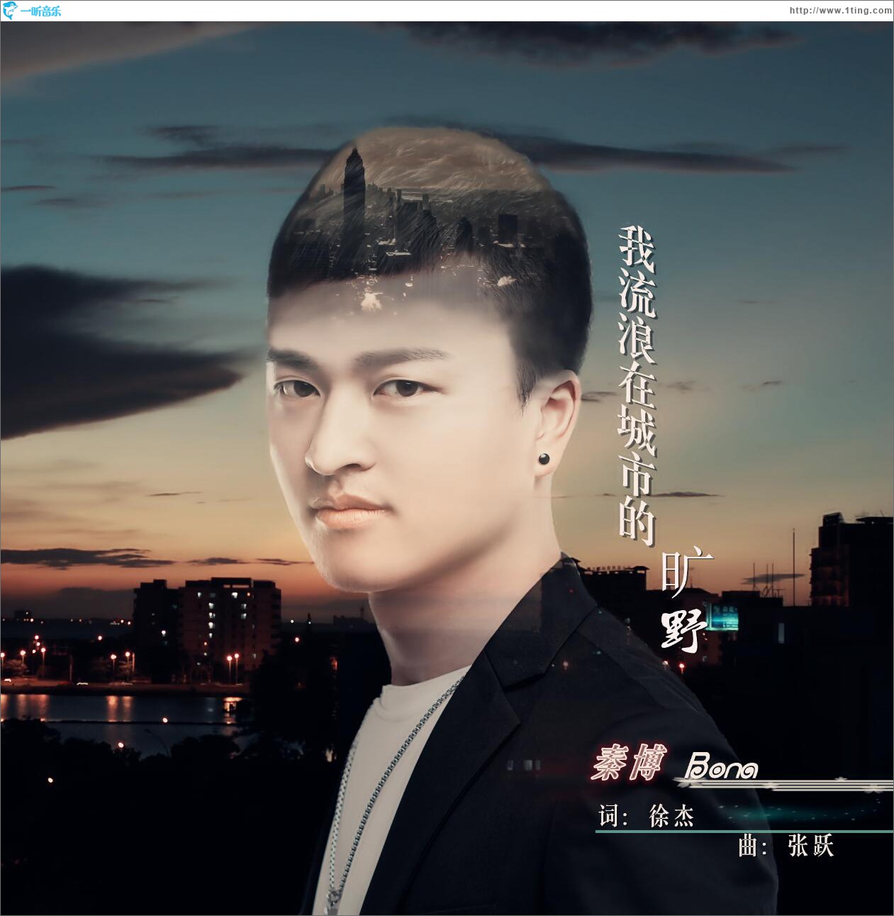 我流浪在城市的曠野 (單曲)