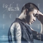 一定要忘了我(單曲)詳情