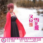 又見雪花飛 (單曲)詳情