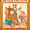 Glass Animals The Other Side of Paradise 試聽