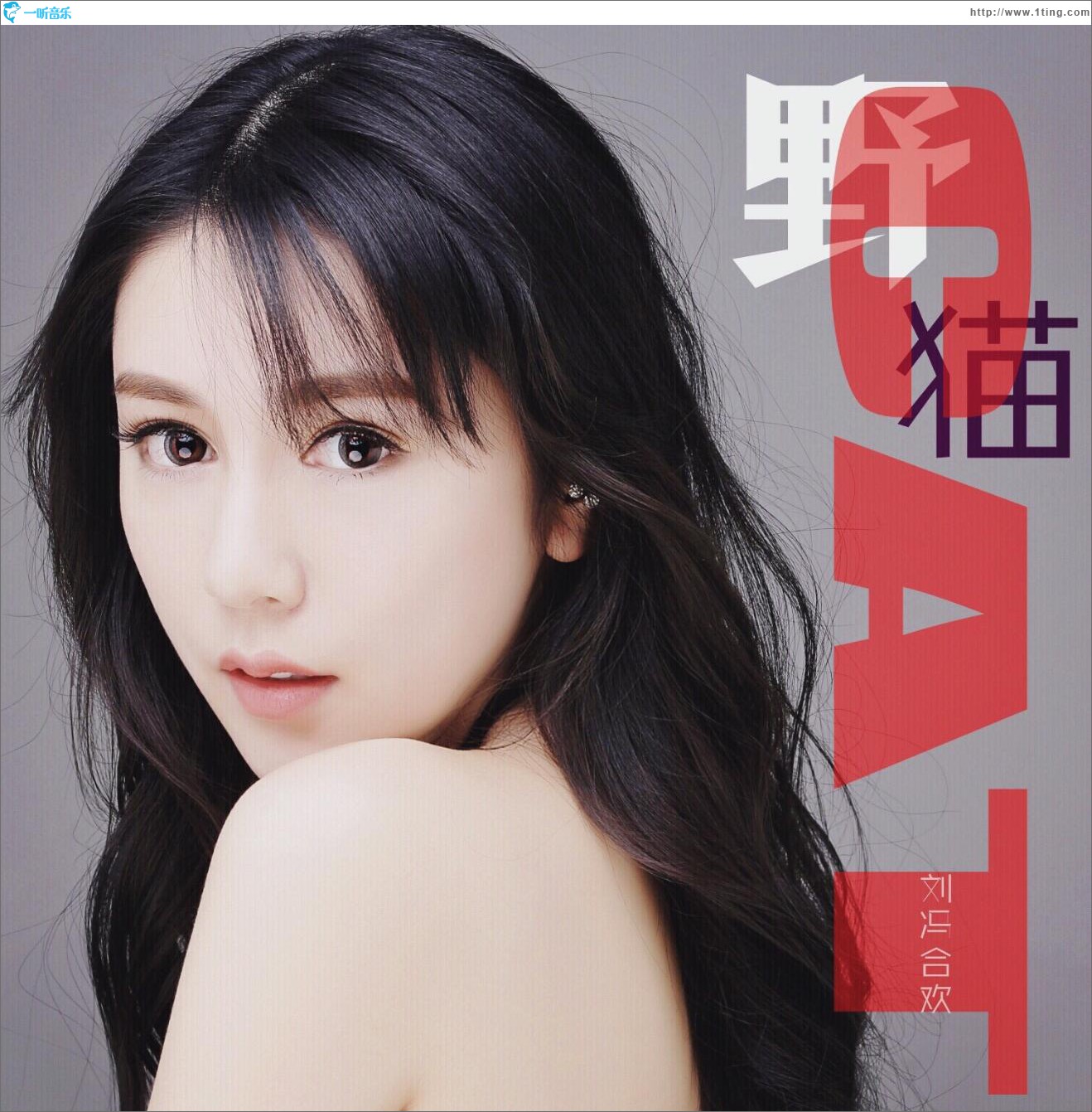 野貓 (單曲)