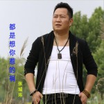 都是想你惹的禍 (單曲)詳情