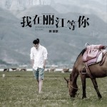 我在麗江等你詳情