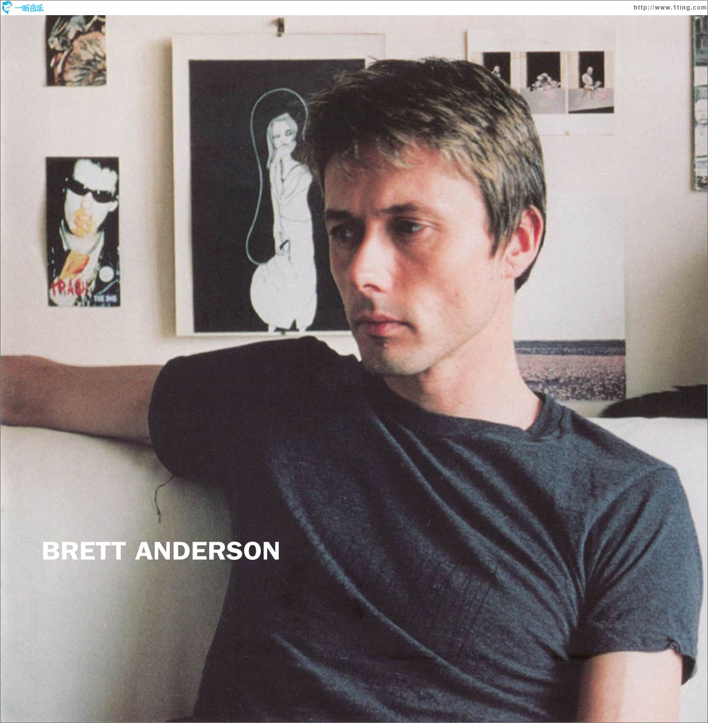 专辑封面:brett anderson (deluxe)