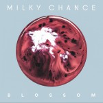 Blossom詳情