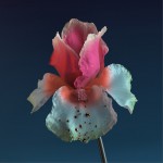 Skin (Remixes)詳情
