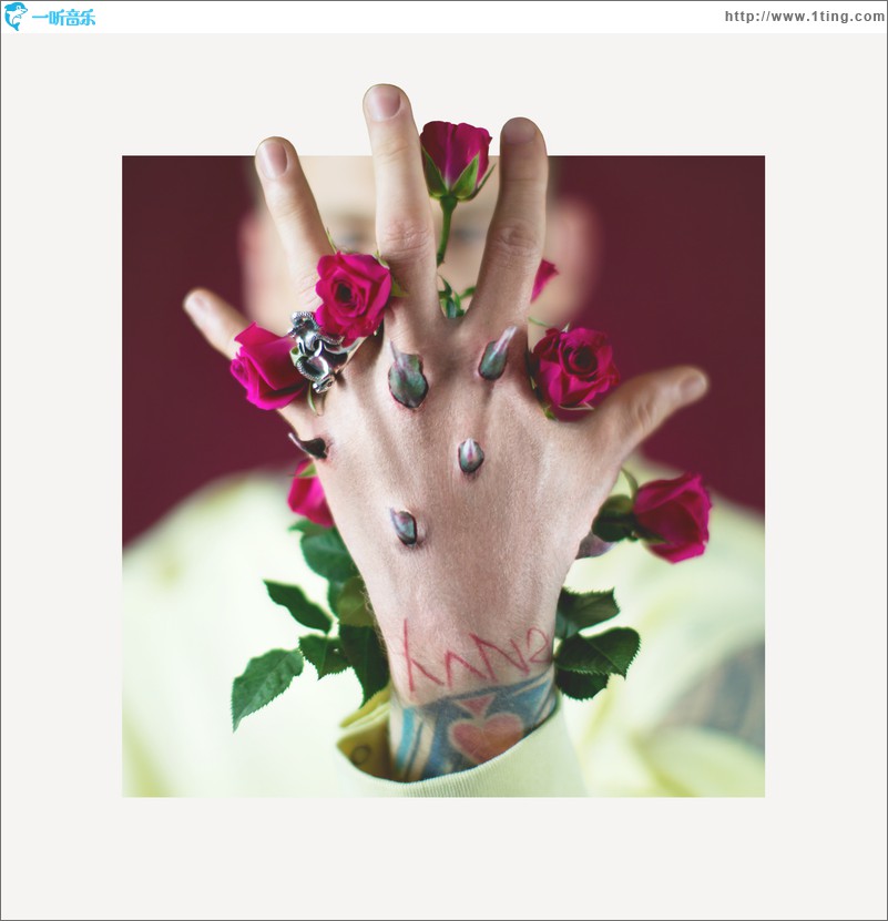 Bloom