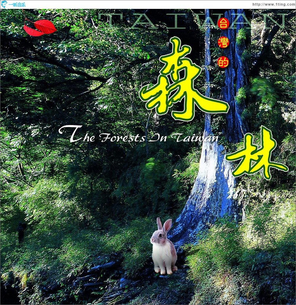 臺灣的森林