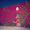Feist The Wind 試聽