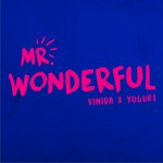 Mr. Wonderful (單曲)詳情