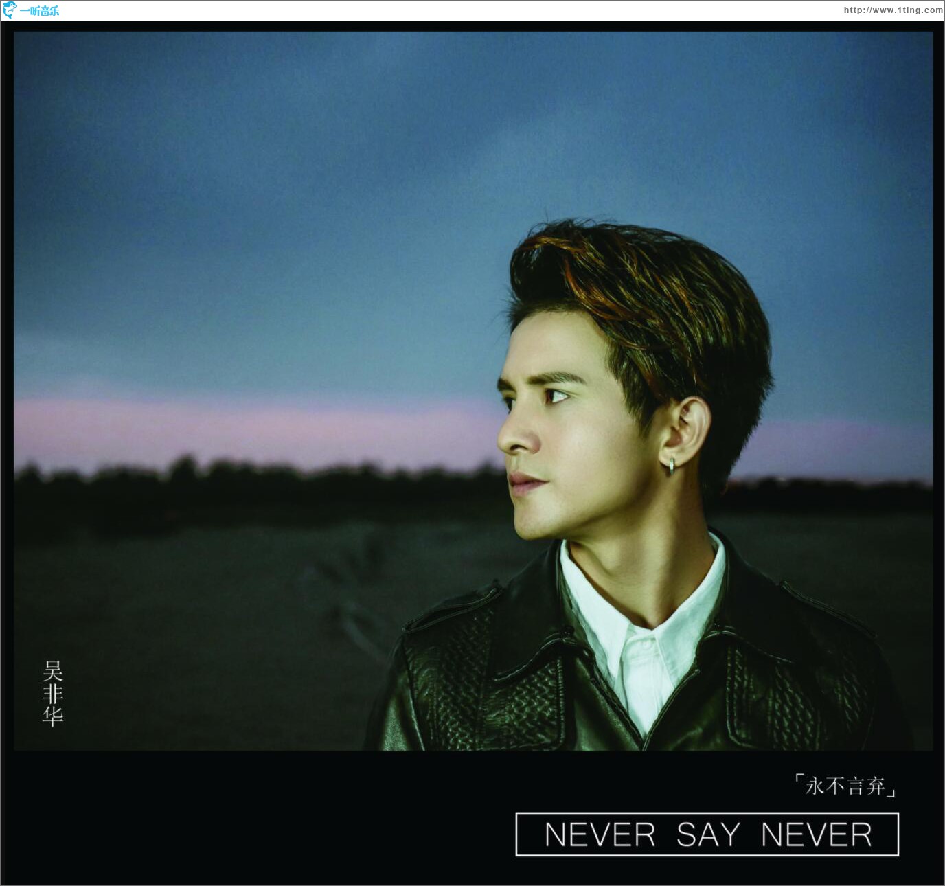 Never Say Never (EP)