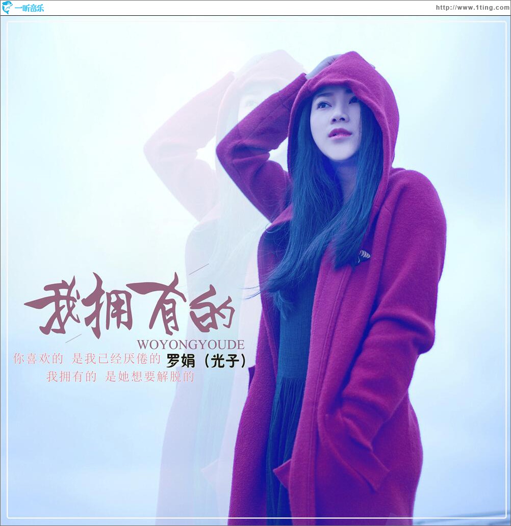 我擁有的 (單曲)