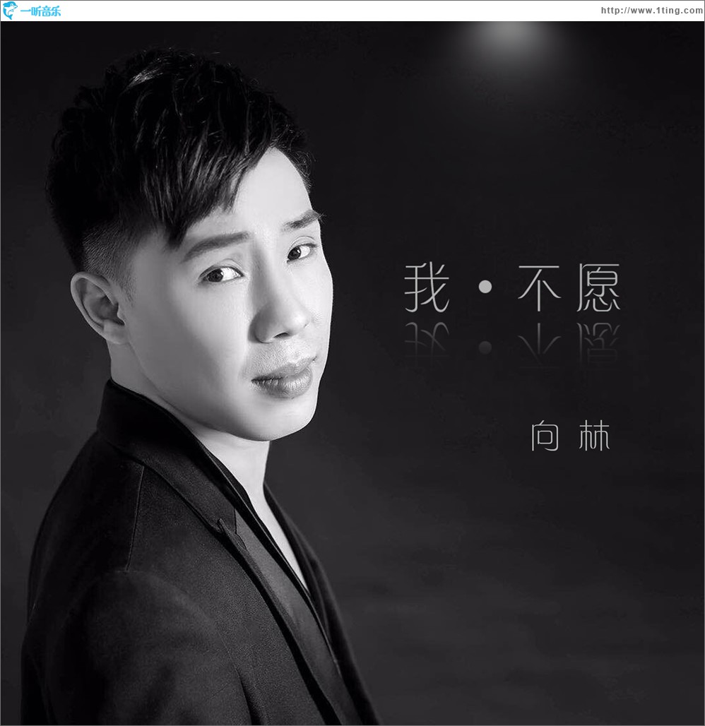 我不愿 (單曲)