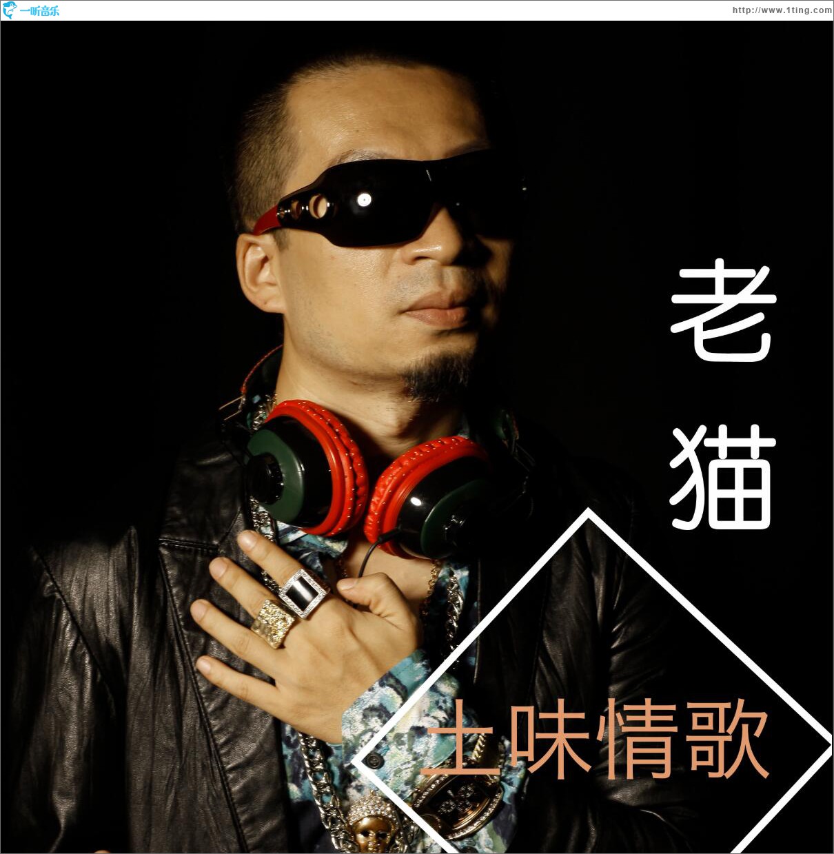 土味情歌 (單曲)