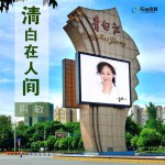 清白在人間 (單曲)詳情