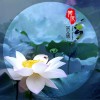 宗義博 荷花鄉 試聽
