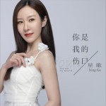 你是我的傷口 (單曲)詳情