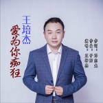 愛為你癡狂 (單曲)詳情