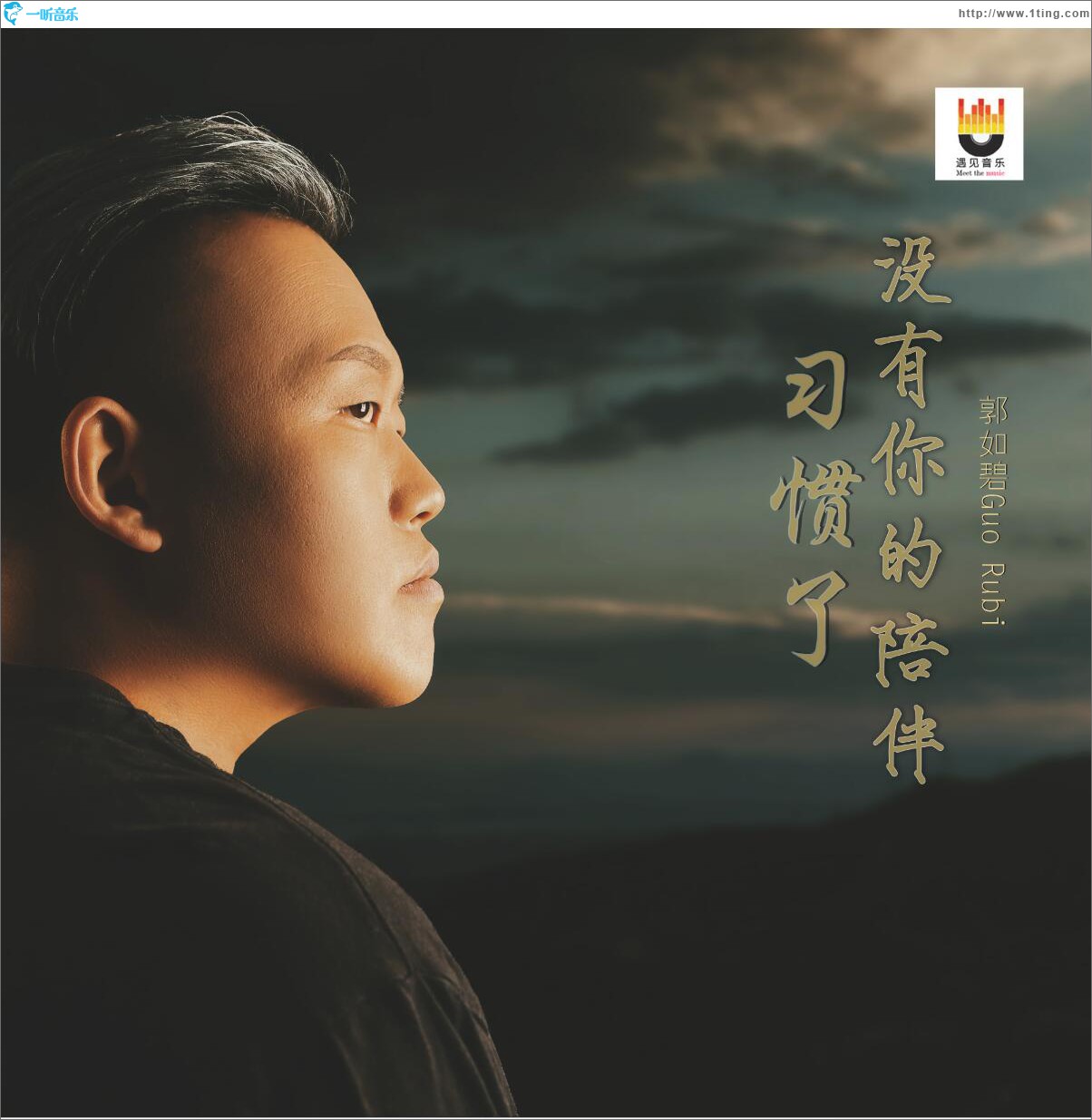 習慣了沒有你的陪伴 (單曲)
