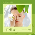 詩和遠方 (單曲)詳情
